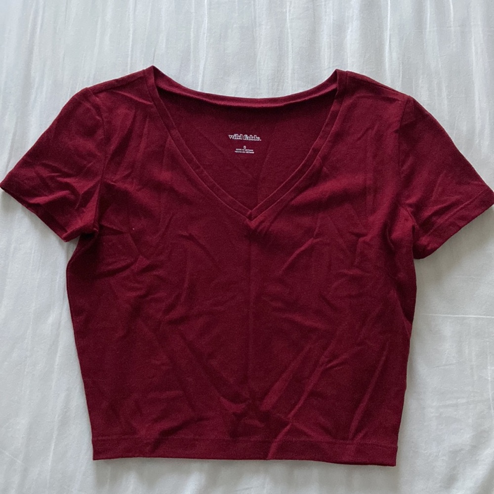 Wild Fable Short Sleeve Cropped V-Neck T-Shirt